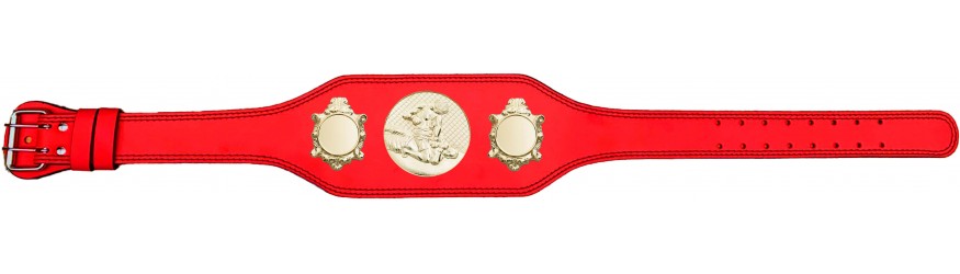 MMA CHAMPIONSHIP BELT-BUD003/G/MMAG-4 COLOURS